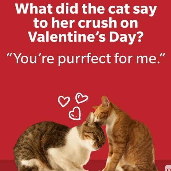 Happy Valentines Day💞💞 - Picture 5 of 8